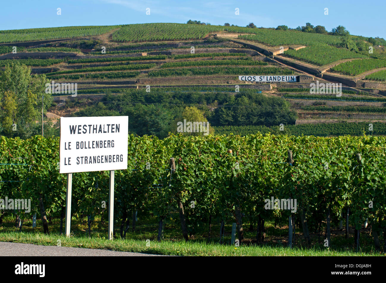 Ortseingangsschild von Westhalten mit verweisen auf die Weinberge von Le Bollenberg und Le Strangenberg vor dem Elsass Grand Stockfoto