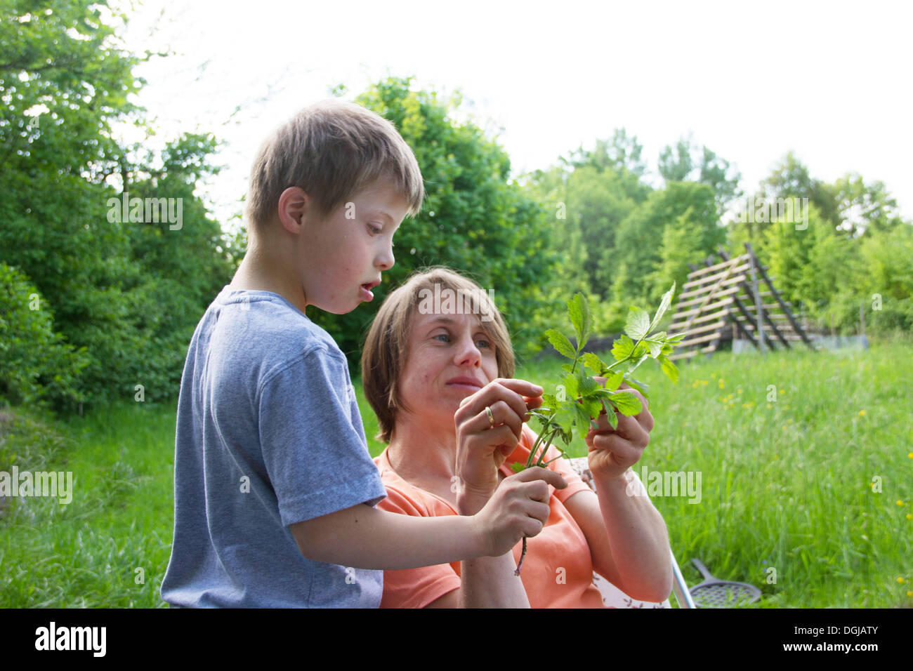 Mutter und Sohn suchen am Stiel der Blätter Stockfoto