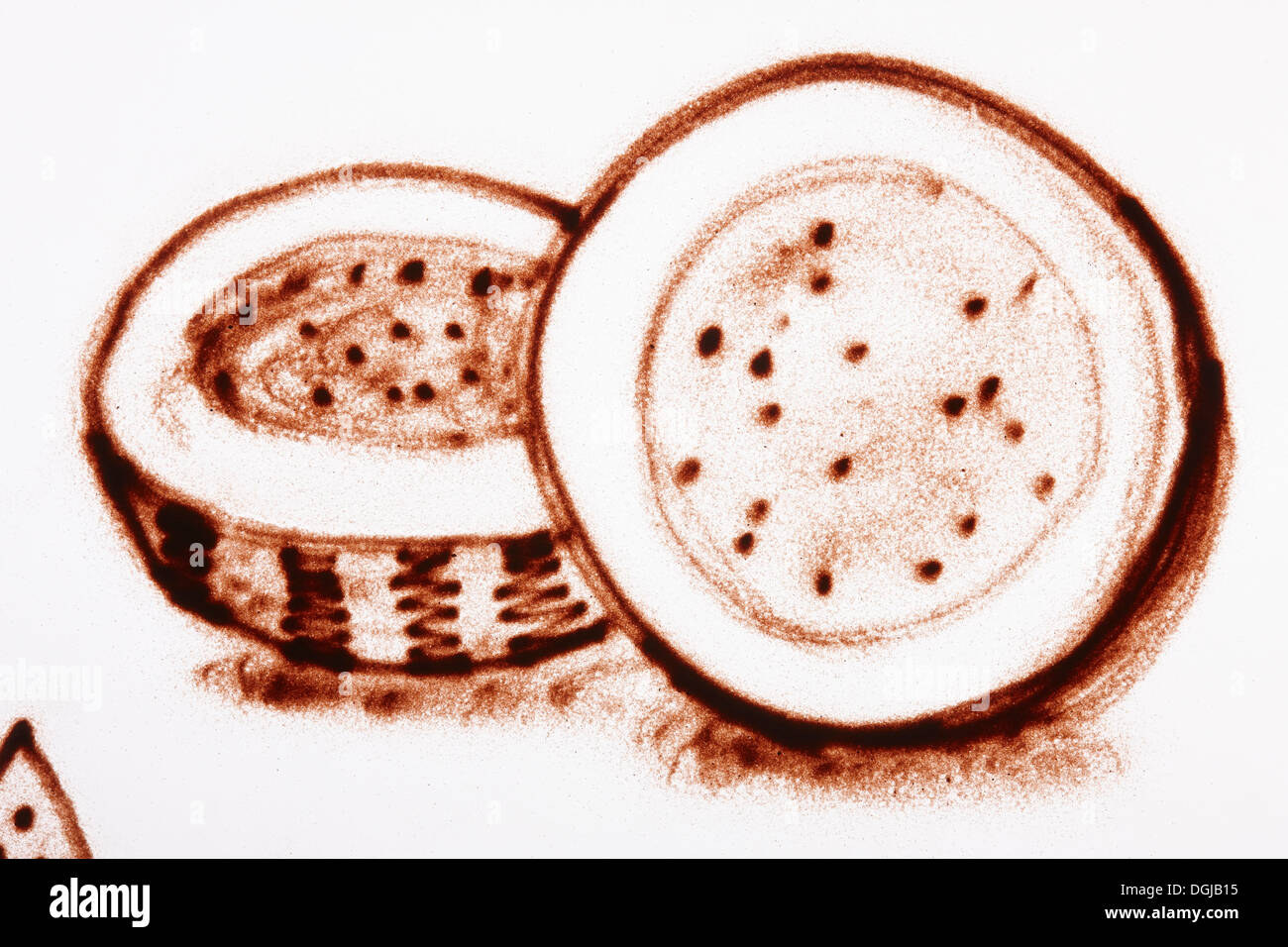 eine Zeichnung einer Kokosnuss sand Stockfoto