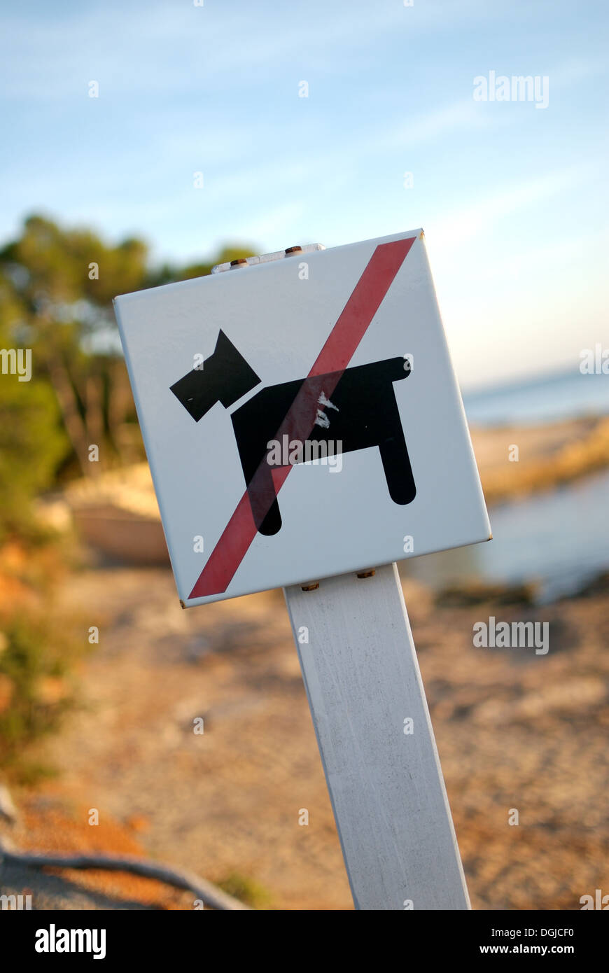 Hunde, die nicht erlaubte Zeichen in Ses Estaques Beach, Santa Eulalia del Rio, Ibiza Stockfoto