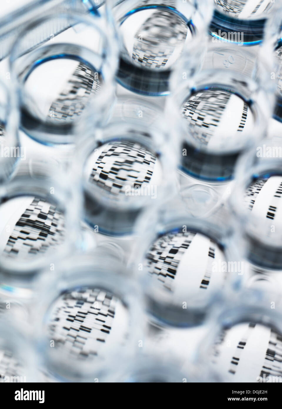 DNA-Probe im Multi-well-Platte mit DNA-Gel unten Stockfoto
