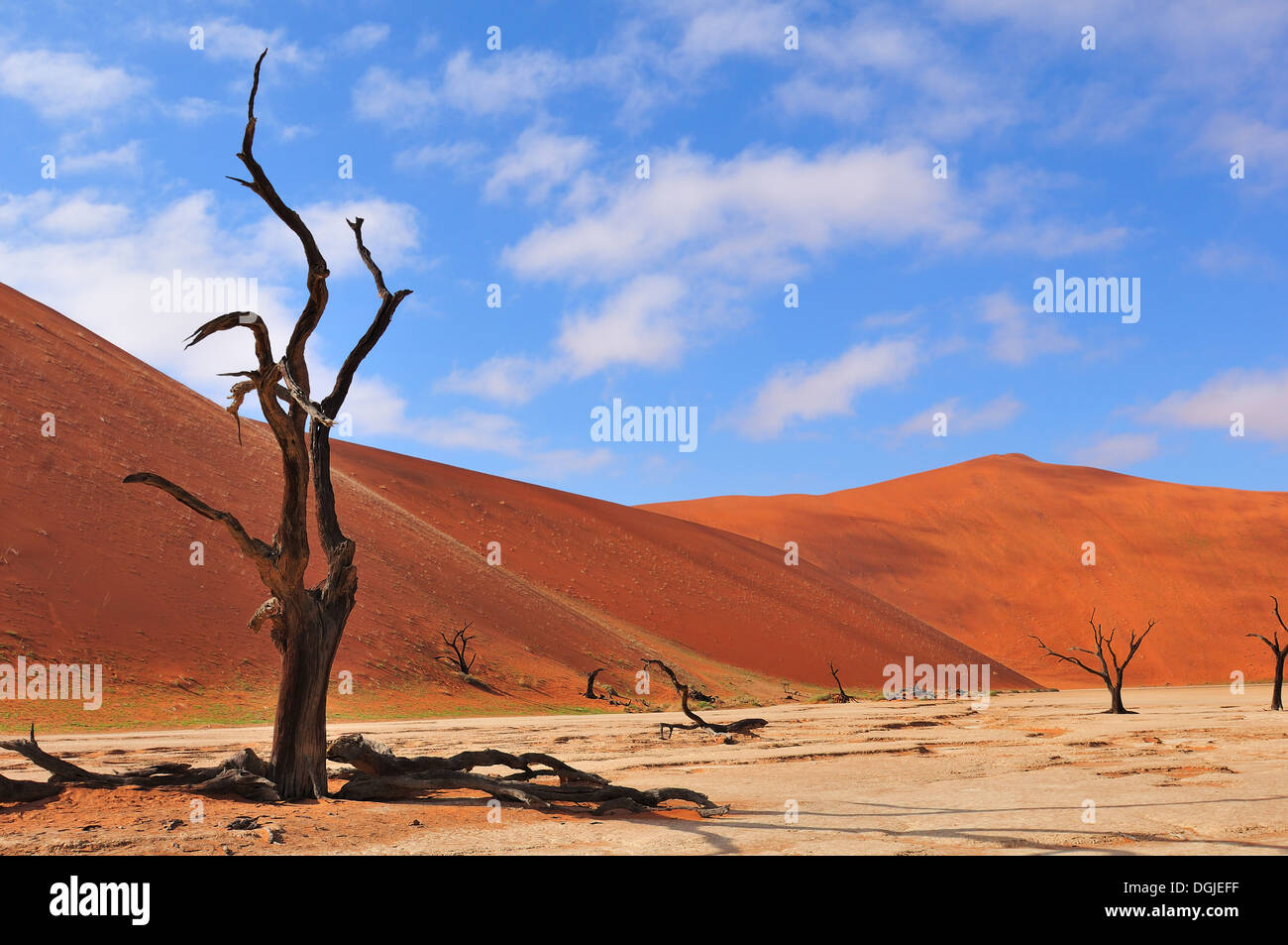 Ein einsamer Baum-Skelett im Deadvlei in der Nähe von Sossusvlei, Namibia Stockfoto