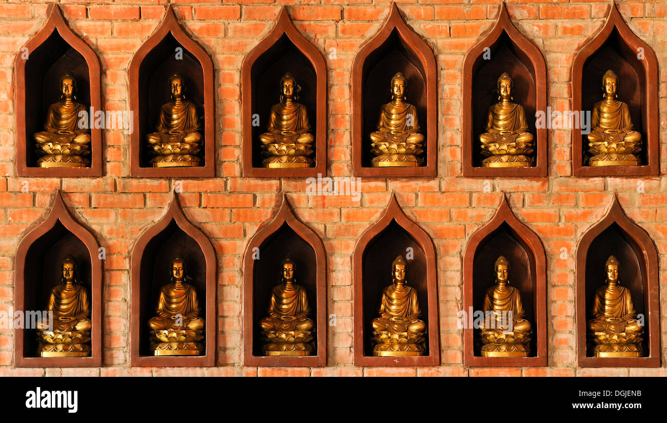 Kleine Buddha-Statuen auf der Baustelle der Chua Bai Dinh Pagode, eine der größten Pagoden in Südost-Asien Stockfoto