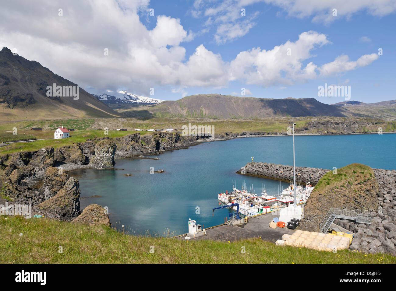 Hafen von arnastapi, snaefellsnes, snaefellsness, Island, Europa Stockfoto