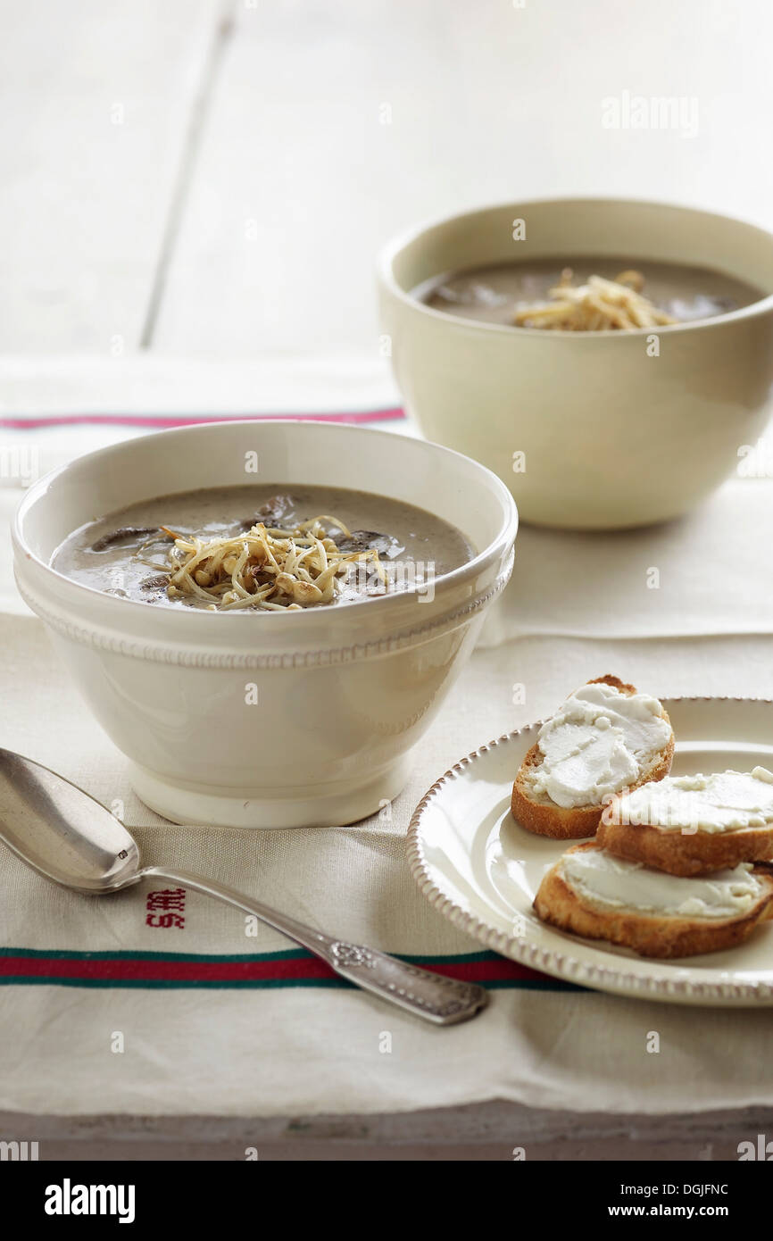 Französischen Stil Pilzsuppe Stockfoto