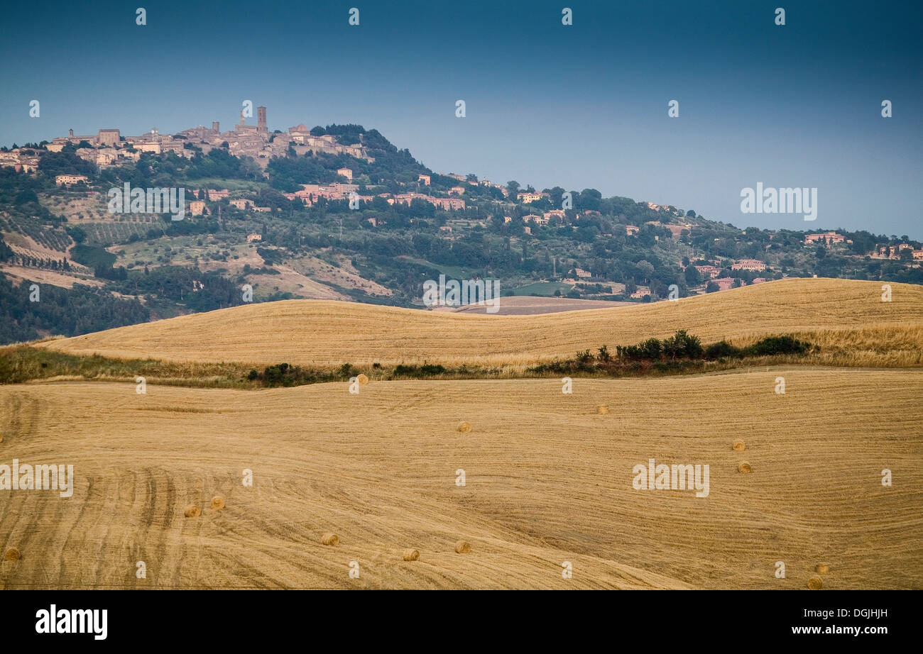 Abgeernteten Feldern, Toskana, Italien Stockfoto