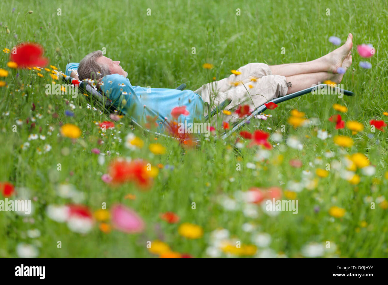 Man entspannende liegend in einem Liegestuhl in einer Blumenwiese, Hagen, Niedersachsen Stockfoto