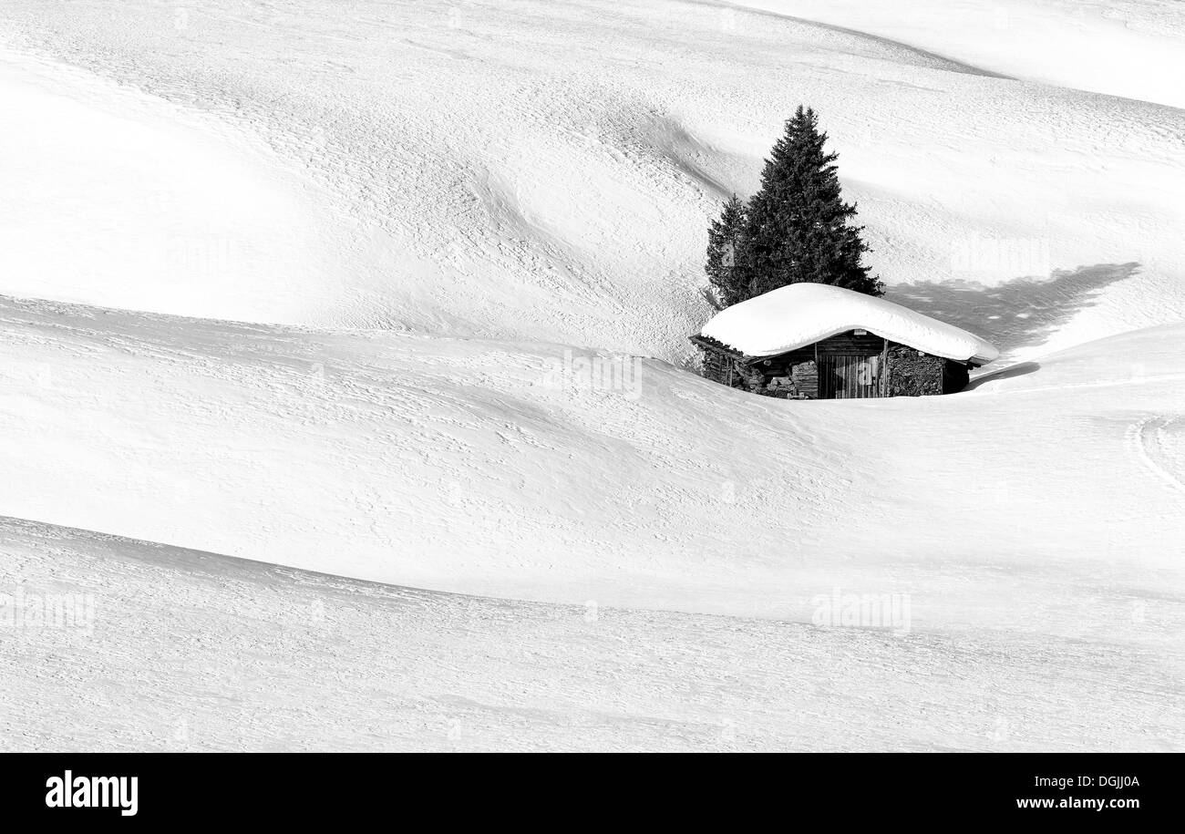 Alm hütte Schwarzweiß-Stockfotos und -bilder - Alamy