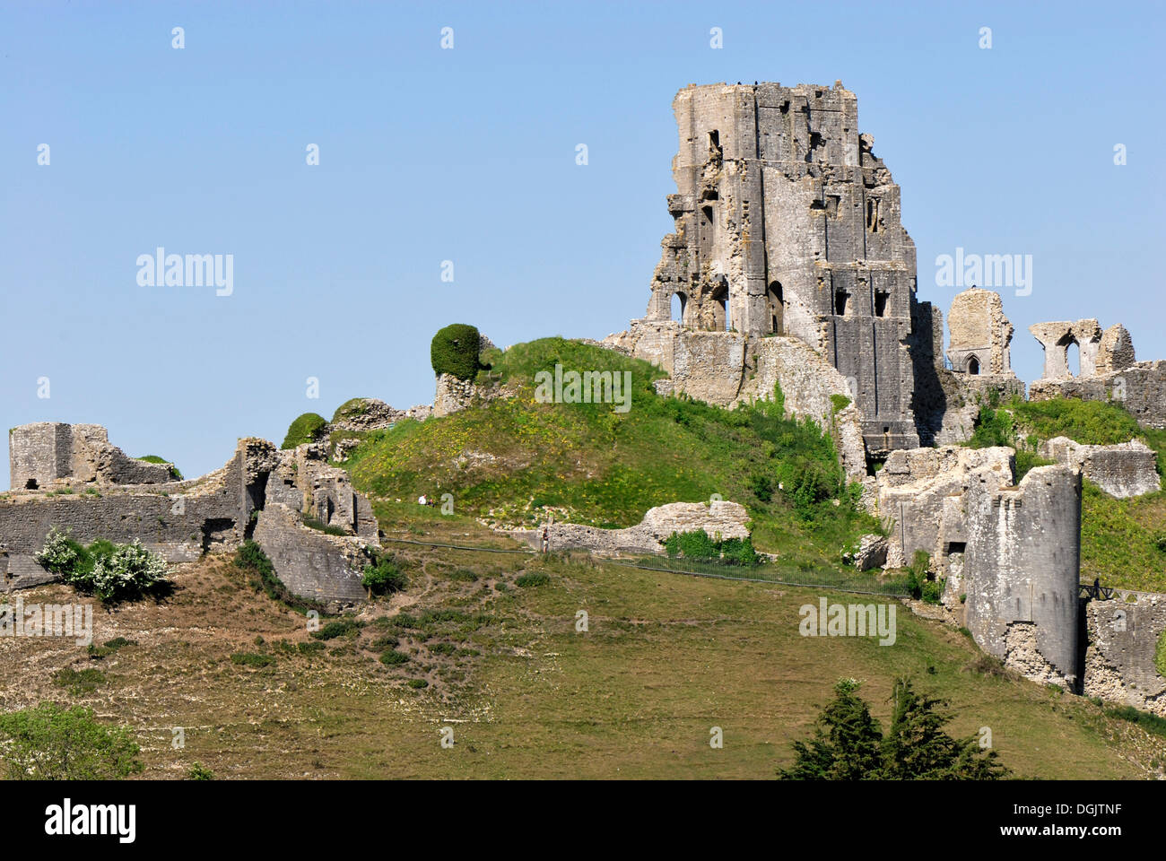 Corfe Castle Ruin, befindet sich in Corfe Castle Dorf, Dorset, südlichen England, England, UK, Europa Stockfoto