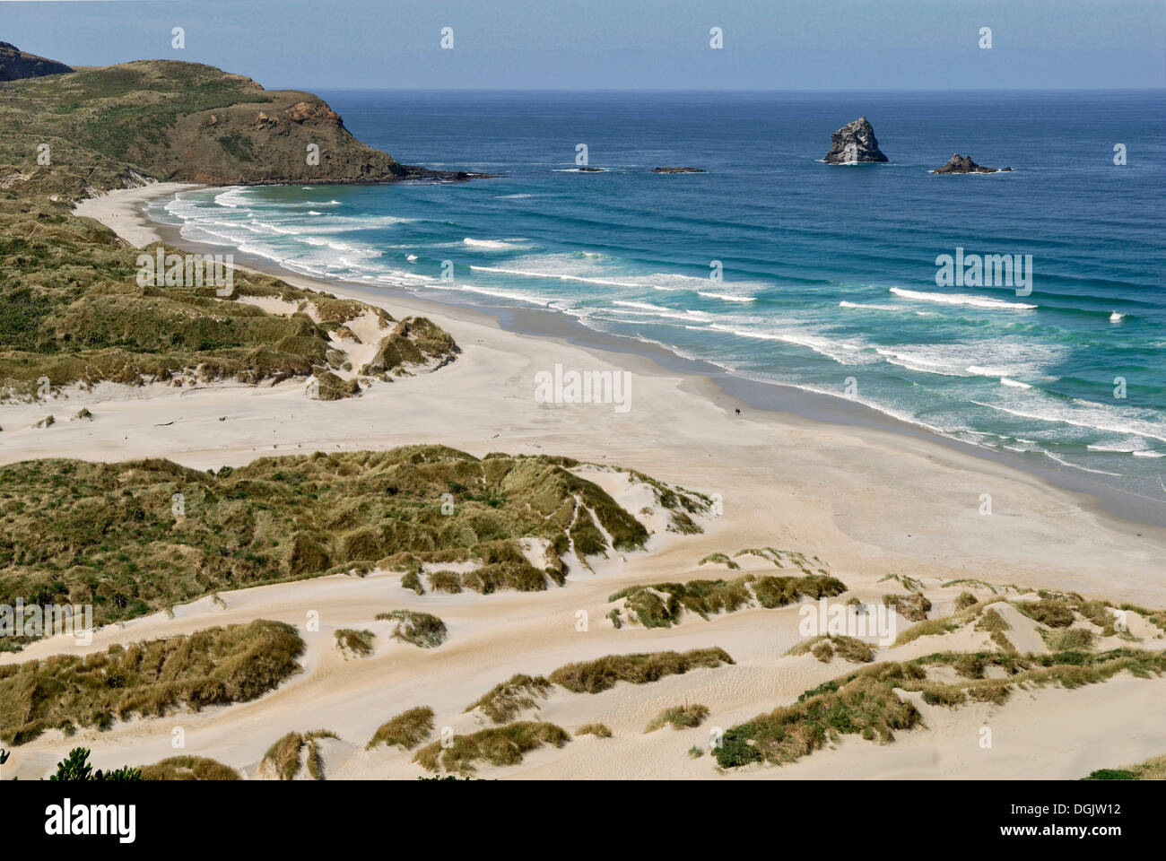 Sandfly Bay Wildlife Refuge, Otago Peninsula, Dunedin, Südinsel, Neuseeland Stockfoto