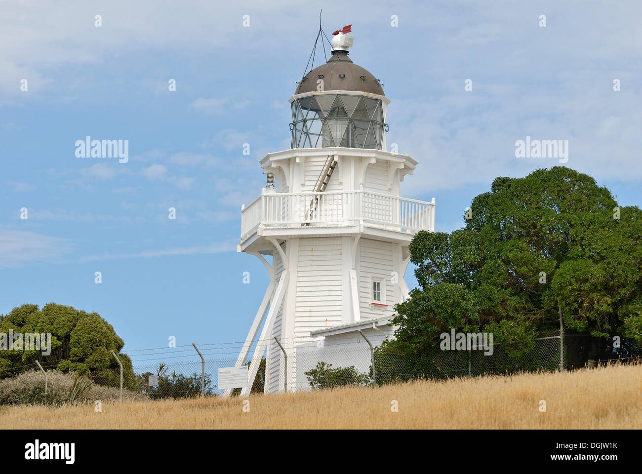 Leuchtturm an der Moeraki, Ostküste, Südinsel, Neuseeland Stockfoto
