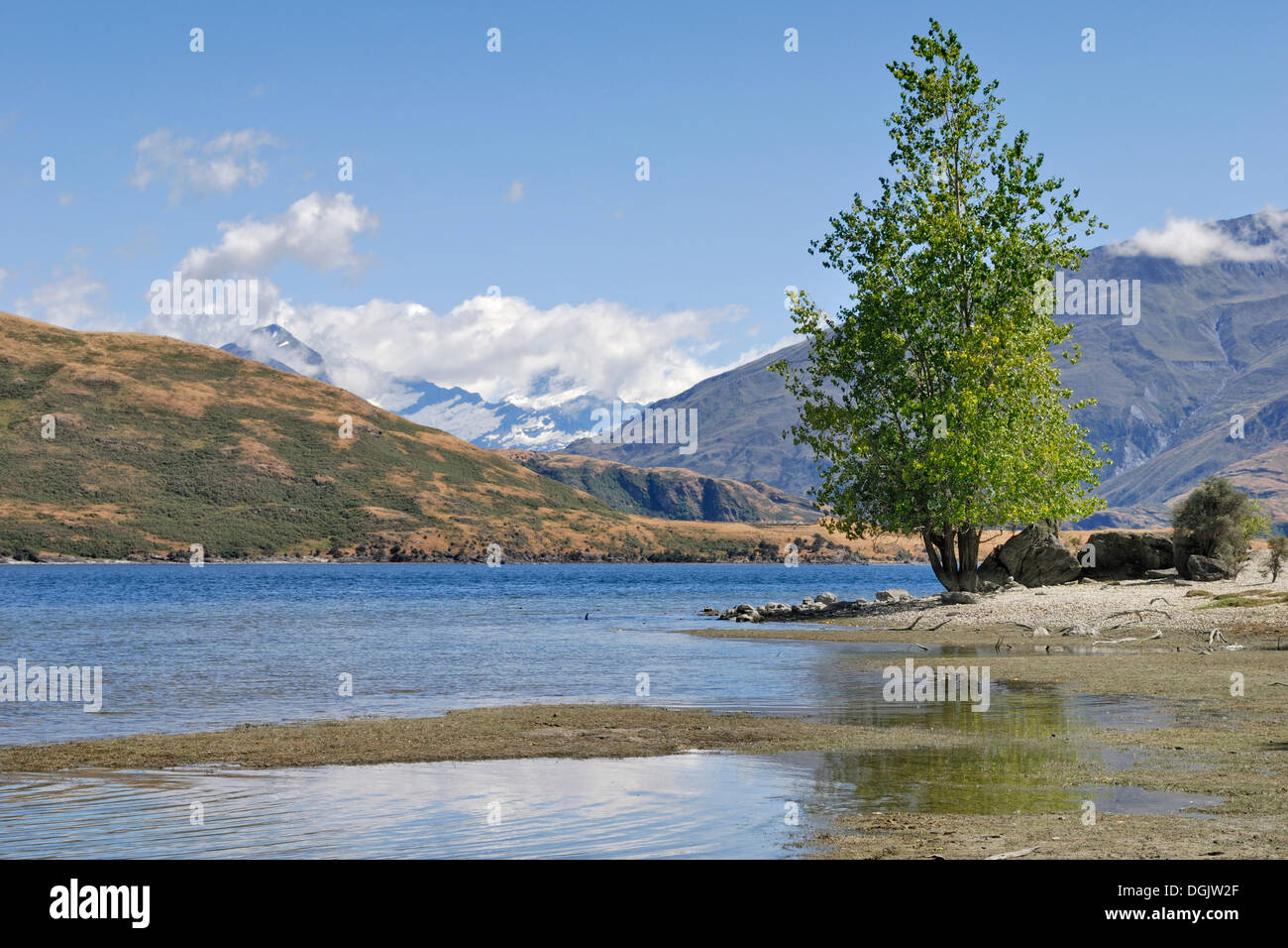 Blick auf Lake Wanaka, Mount Aspiring, Südinsel, Neuseeland Stockfoto