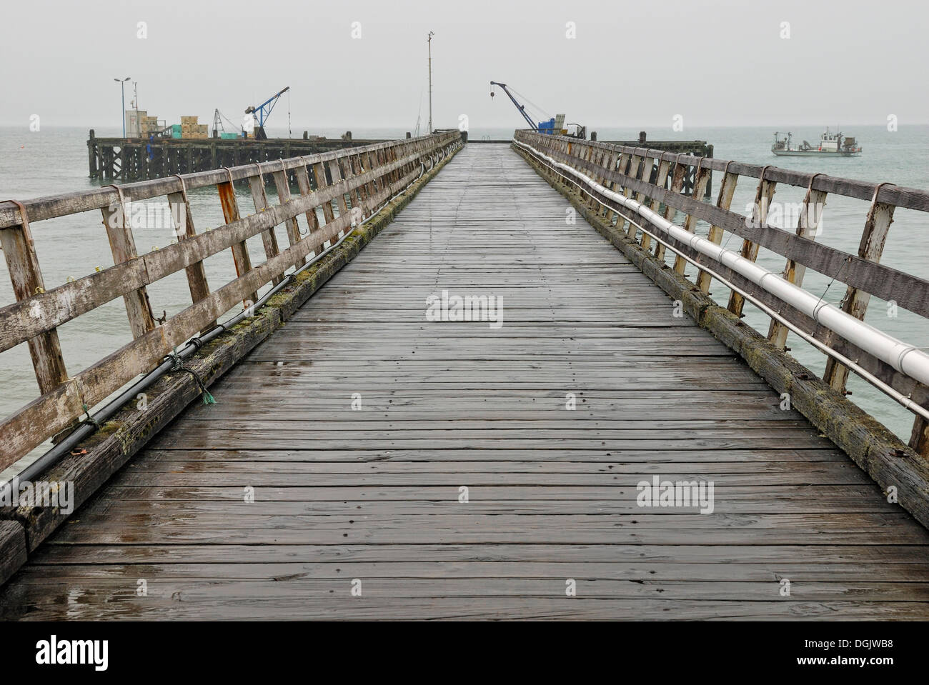 Pier im Regen, Jackson Bay, Tasmansee, Südinsel, Neuseeland Stockfoto