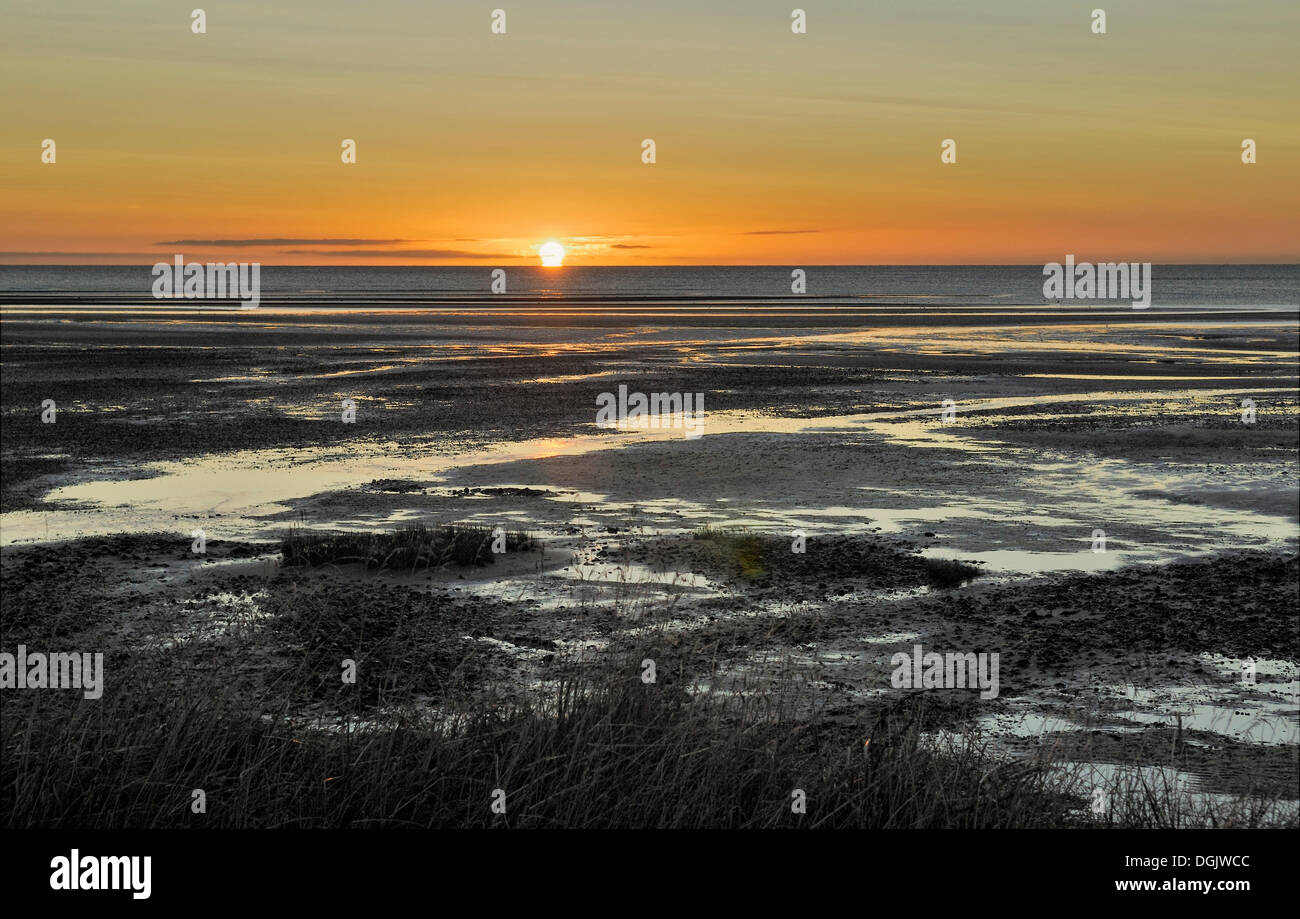Sonnenaufgang bei Ebbe, Collingwood, Golden Bay, Südinsel, Neuseeland Stockfoto