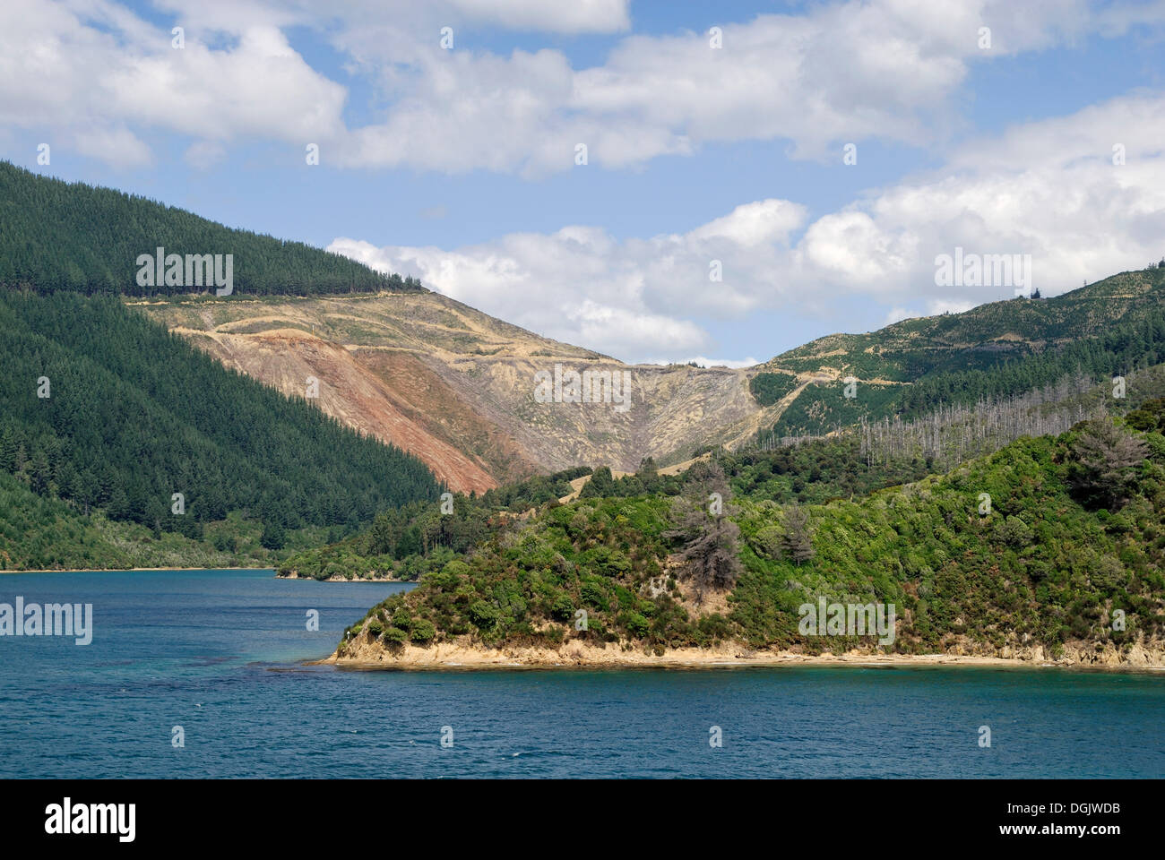 Bodenerosion durch Monokulturen und strenge logging, Tory Channel, Marlborough Sounds, Südinsel, Neuseeland Stockfoto