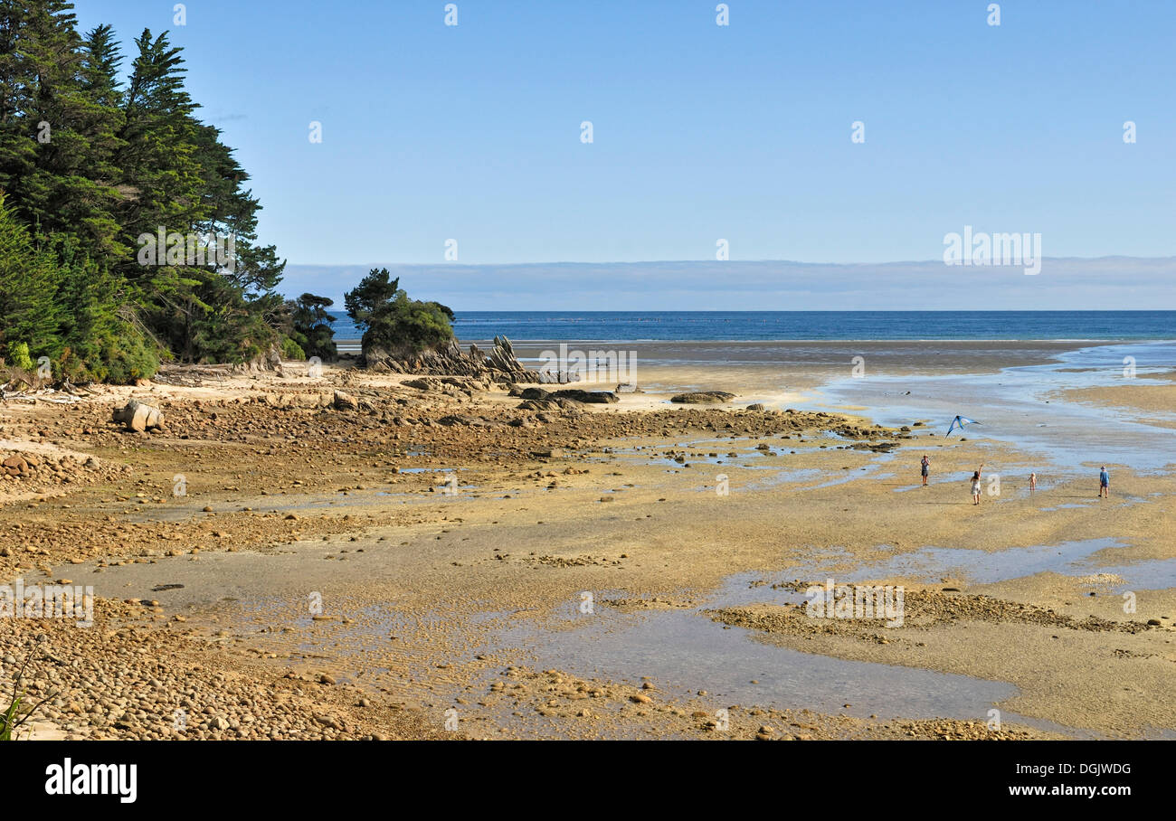 Wainui Bay, Golden Bay, Südinsel, Neuseeland Stockfoto