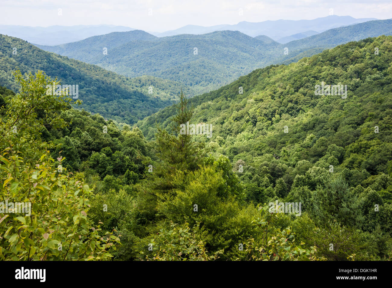 Blick auf die Blue Ridge Mountains in der Nähe des Appalachian Trail im Norden von Georgia. (USA) Stockfoto