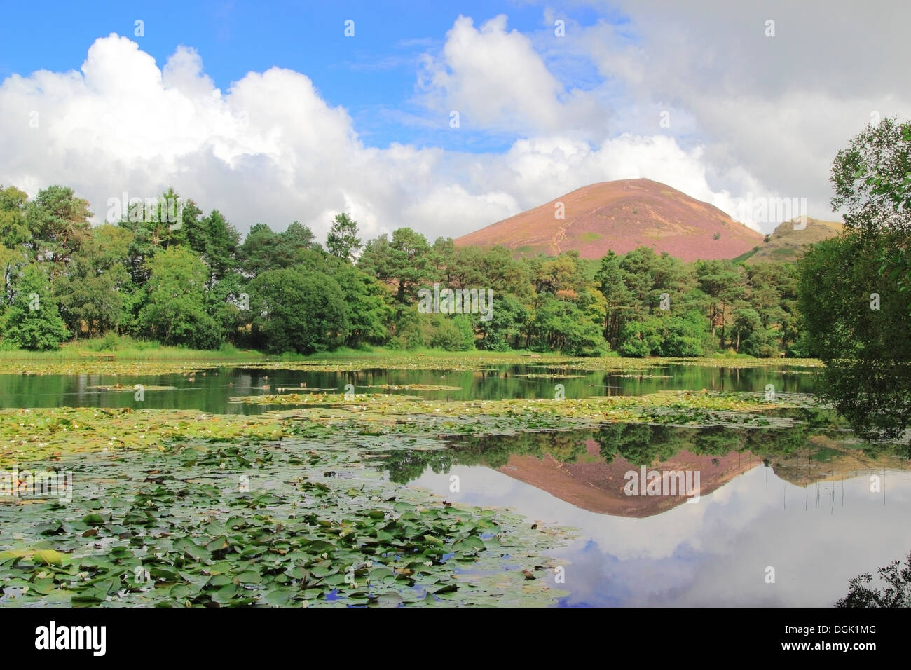 Bowdenmoor oder Bowden Moor Reservoir & Eildon Hills, Bowden, Grenzen County, Schottland, UK Stockfoto