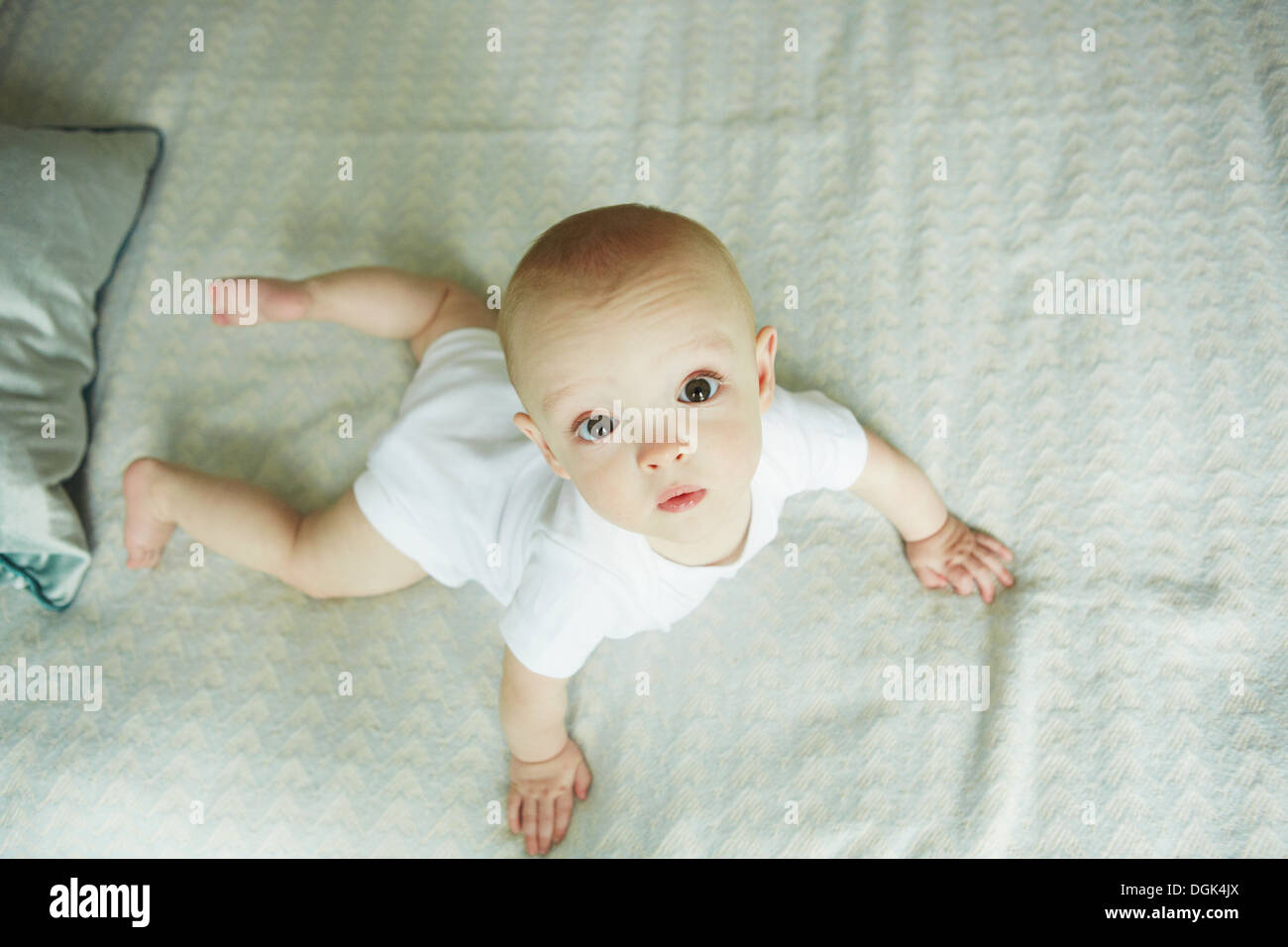 Baby Boy auf Bett kriechen Stockfoto
