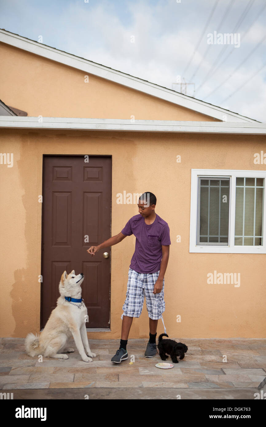 Junge vor Haus mit zwei Hunden Stockfoto