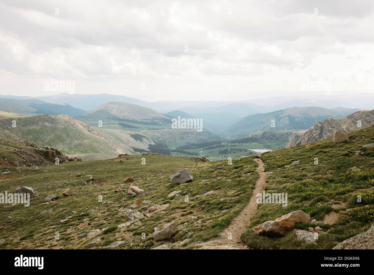 Mount Evans, vordere Strecke, Kolorado Stockfoto