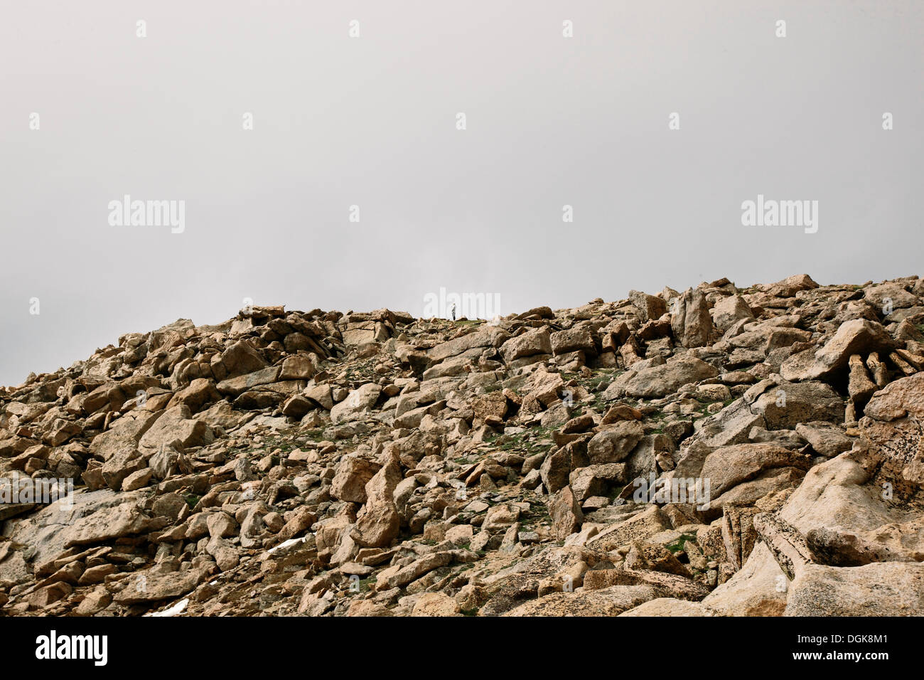 Felsige Landschaft, Mount Evans, Colorado Stockfoto