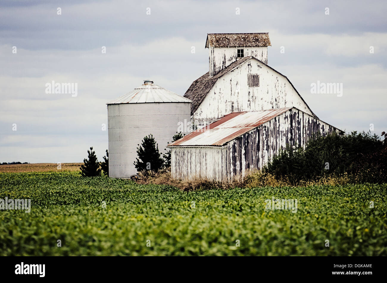 Das Kernland in Iowa Stockfoto