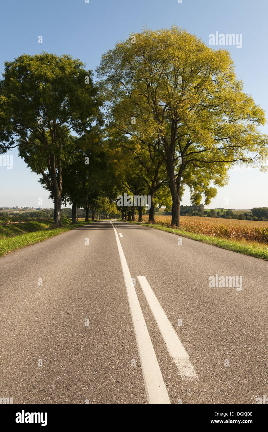 Elk213-1579v Frankreich, Elsass, Vogesen Regional Park, Autobahn und Agrarlandschaft Stockfoto