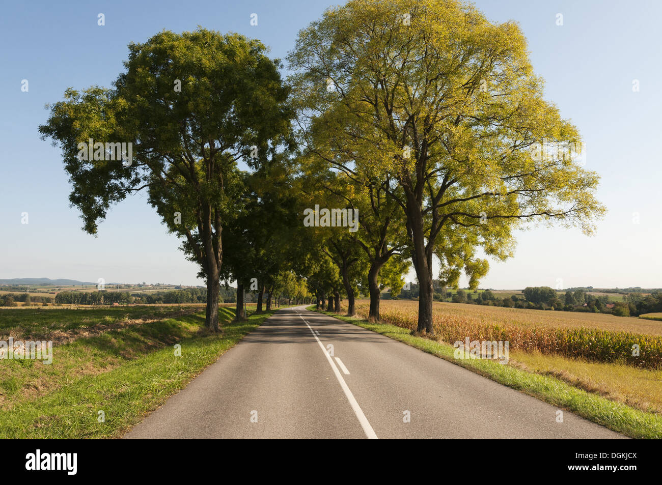 Elk213-1581 Frankreich, Elsass, Vogesen Regional Park, Autobahn und Agrarlandschaft Stockfoto