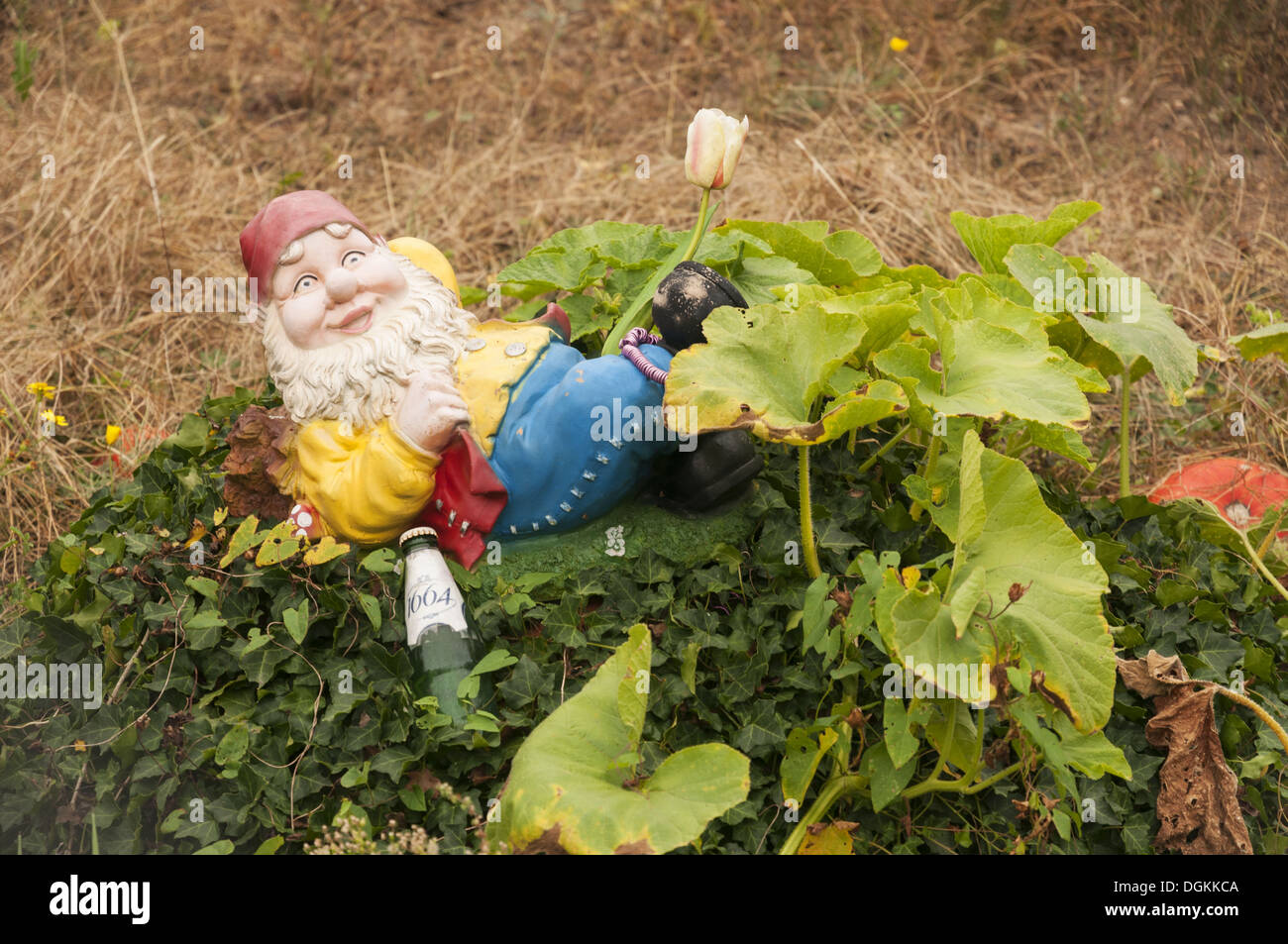 Elk213-1677 Frankreich, Elsass, Obernai, Gartenzwerg Stockfoto