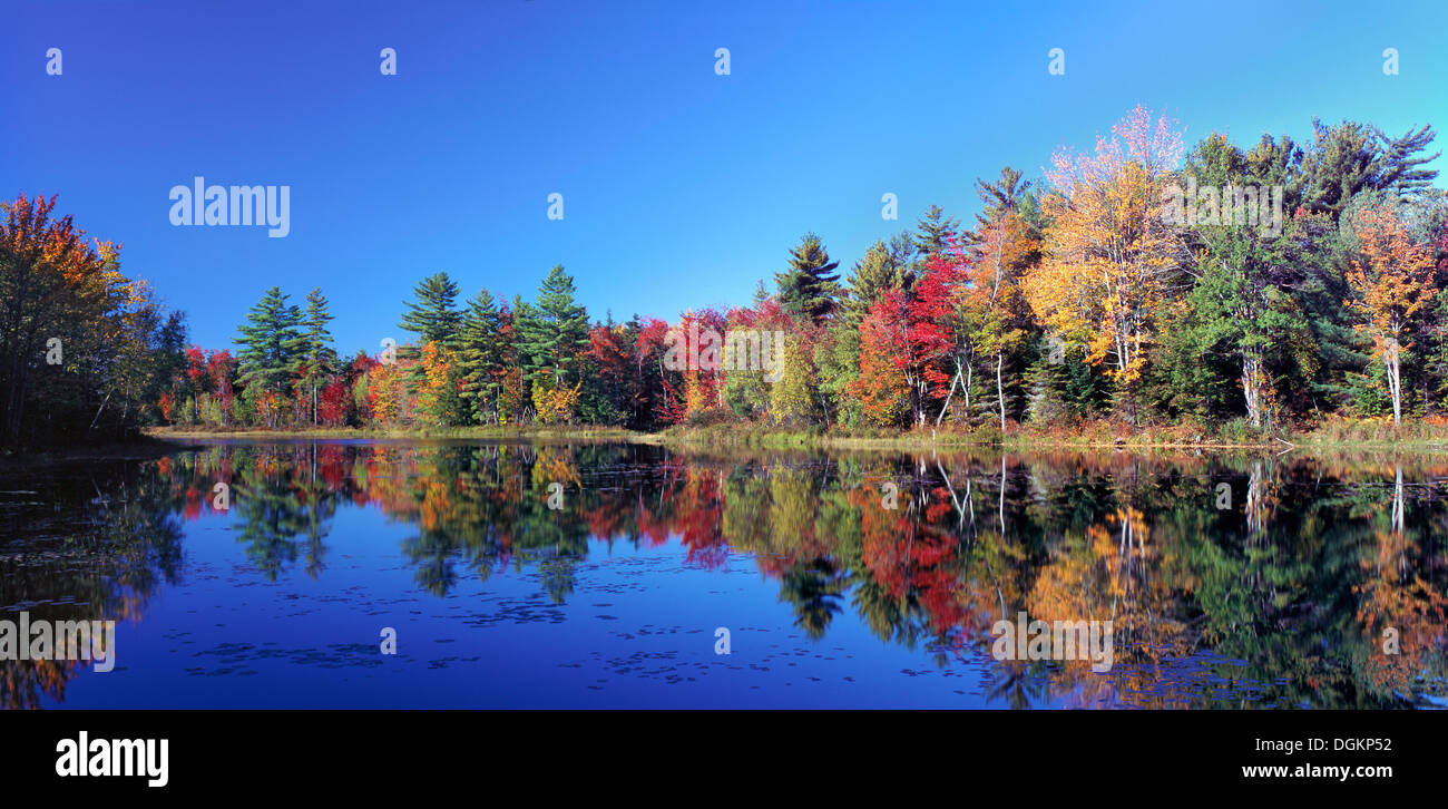 Ein Blick auf Adams Teich in Maine im Herbst. Stockfoto