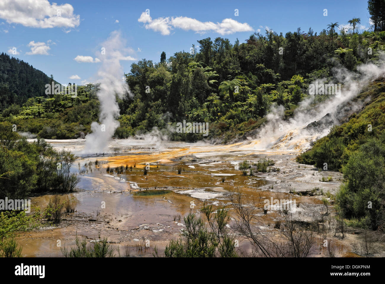 Künstler-Palette, Orakei Korako Höhle und Thermalpark, Hidden Valley, Taopo-Rotorua, Nordinsel, Neuseeland Stockfoto