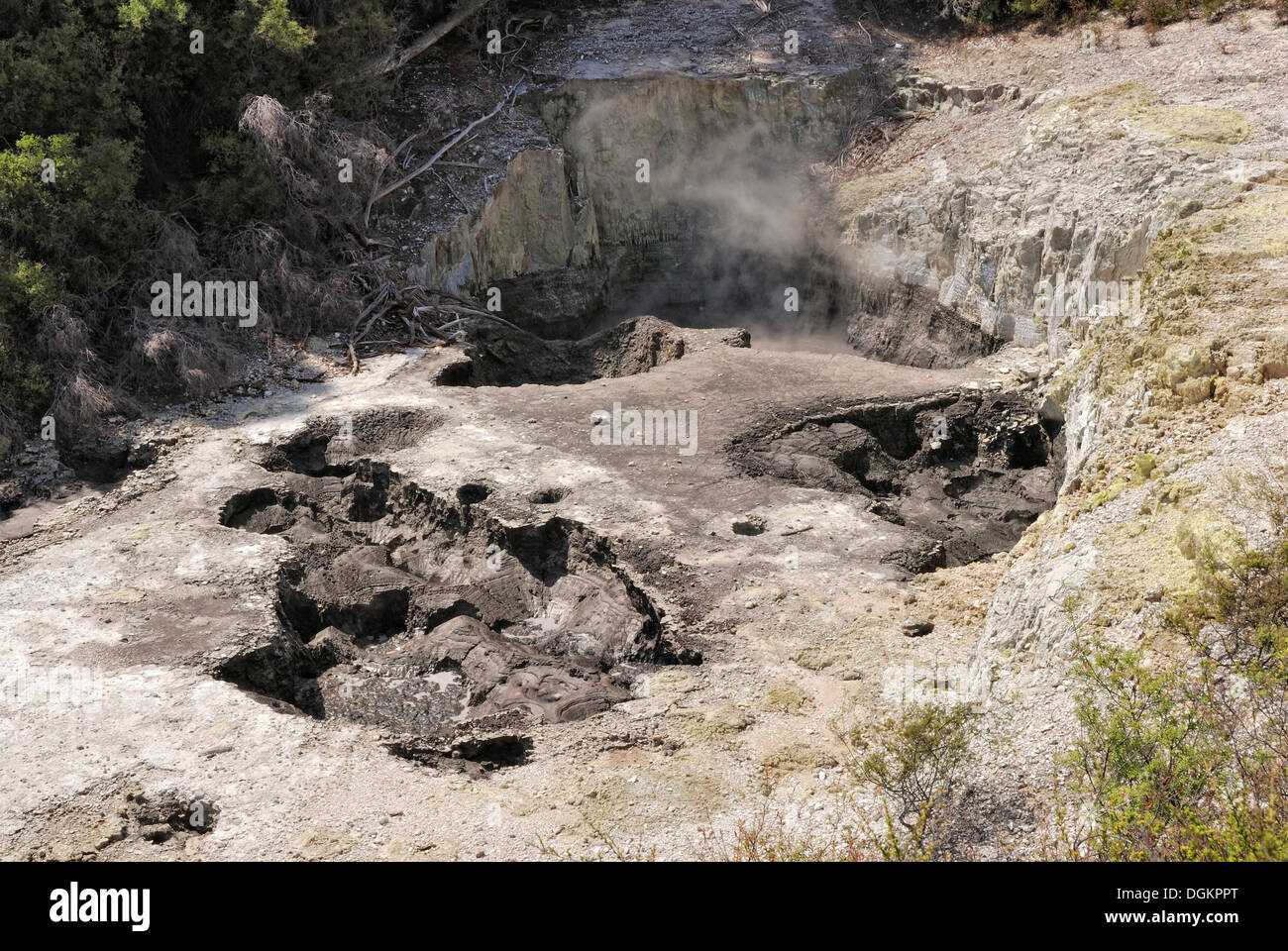 Des Teufels Tinte Töpfe, Wai-O-Tapu Thermal Wonderland, Rotorua, Nordinsel, Neuseeland Stockfoto