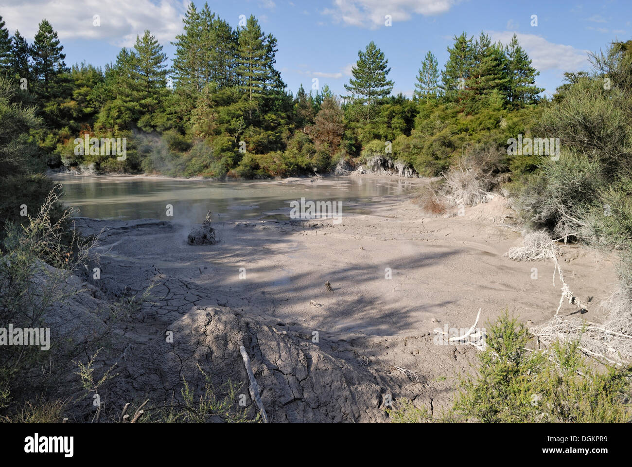 Schlammpfützen bei Wai-O-Tapu Thermal Wonderland, Roturora, Nordinsel, Neuseeland Stockfoto
