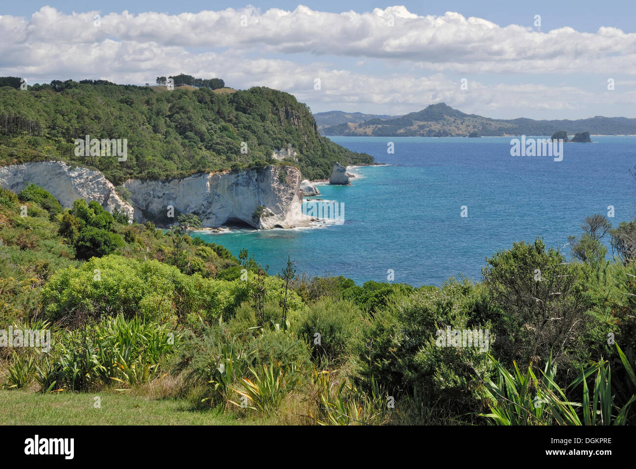 Coastal Bildung am Cathedral Cove laufen, Marine Reserve Cathedral Cove, Hahei, Coromandel Peninsula, Nordinsel, Neuseeland Stockfoto