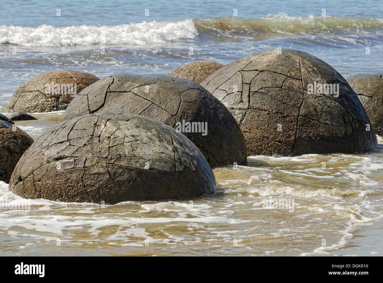 Die Moeraki Boulders, geologische Formation Moeraki, East Coast, Südinsel, Neuseeland Stockfoto