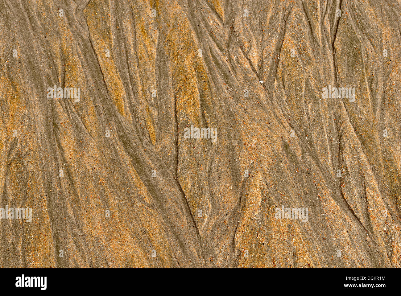 Sand-Struktur bei Ebbe, Balding Bay, Nordküste, Magnetic Island, Queensland, Australien Stockfoto