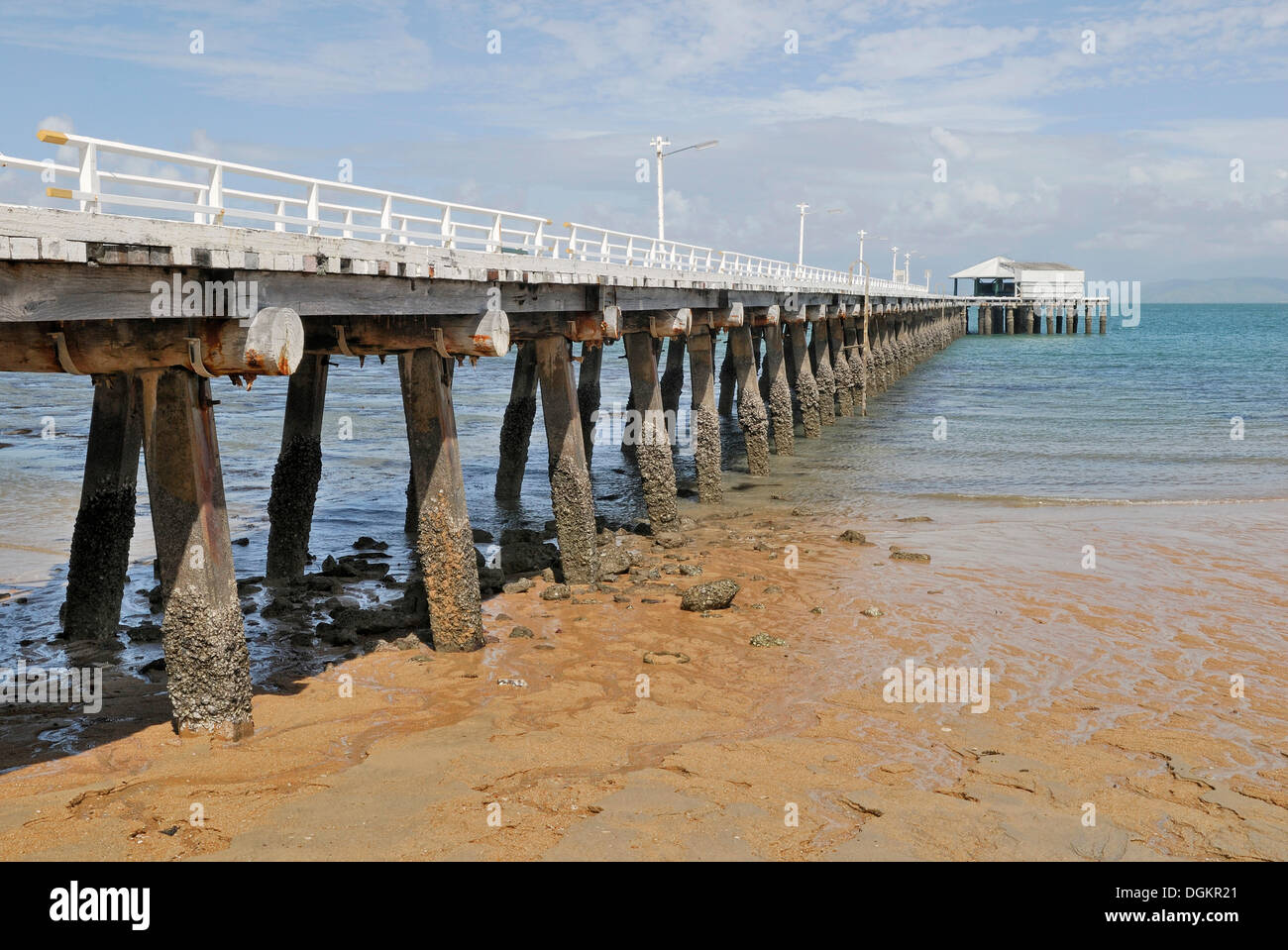 Hayles Steg bei Ebbe, alte Holzkonstruktion, Picnic Bay, Magnetic Island, Queensland, Australien Stockfoto