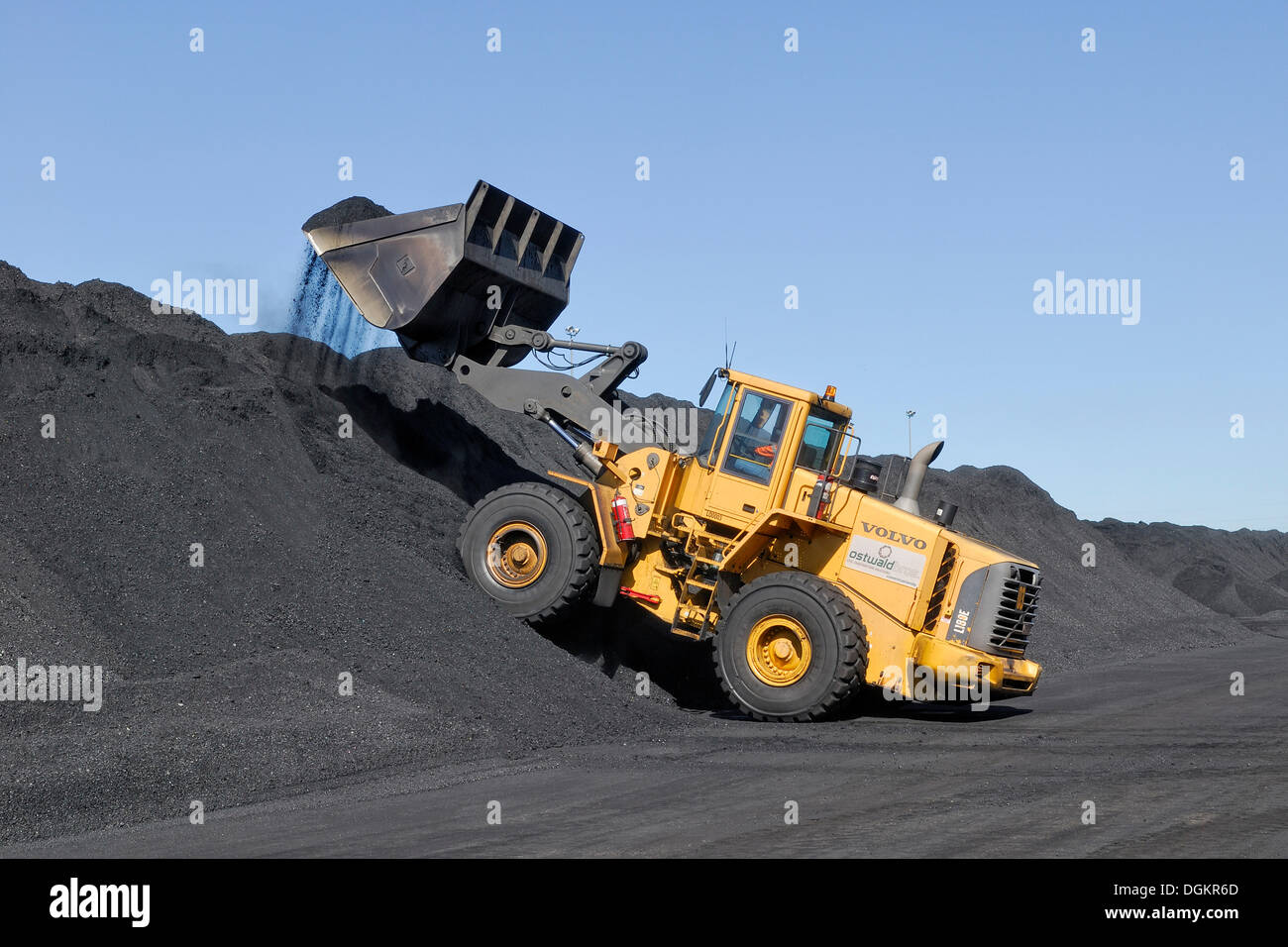 Großes Radlader laden Kohle, Baralaba laden Eisenbahnanlagen in der Nähe von Moura, Queensland, Australien Stockfoto