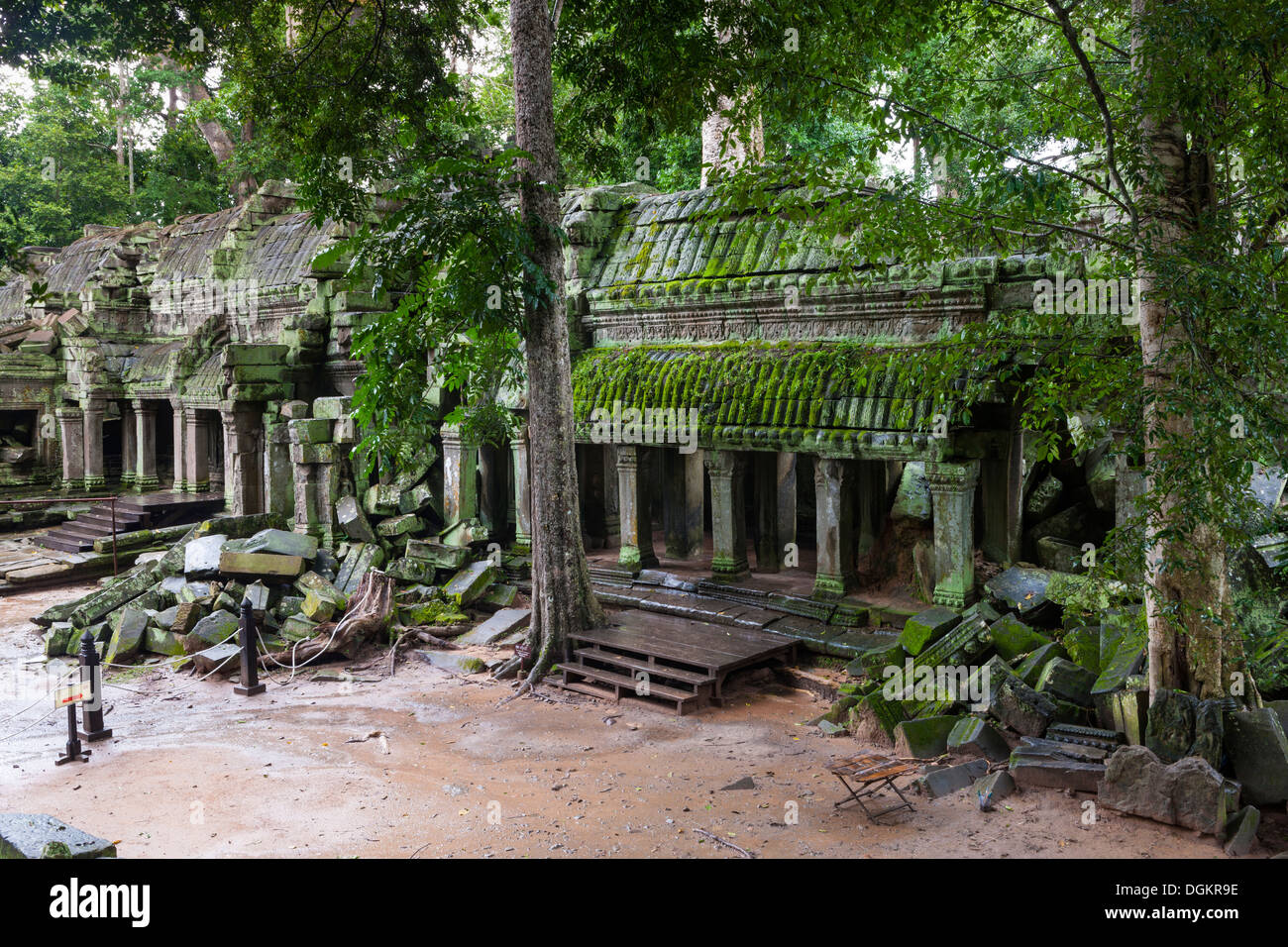Ruinen der Tempel Ta Prohm. Stockfoto