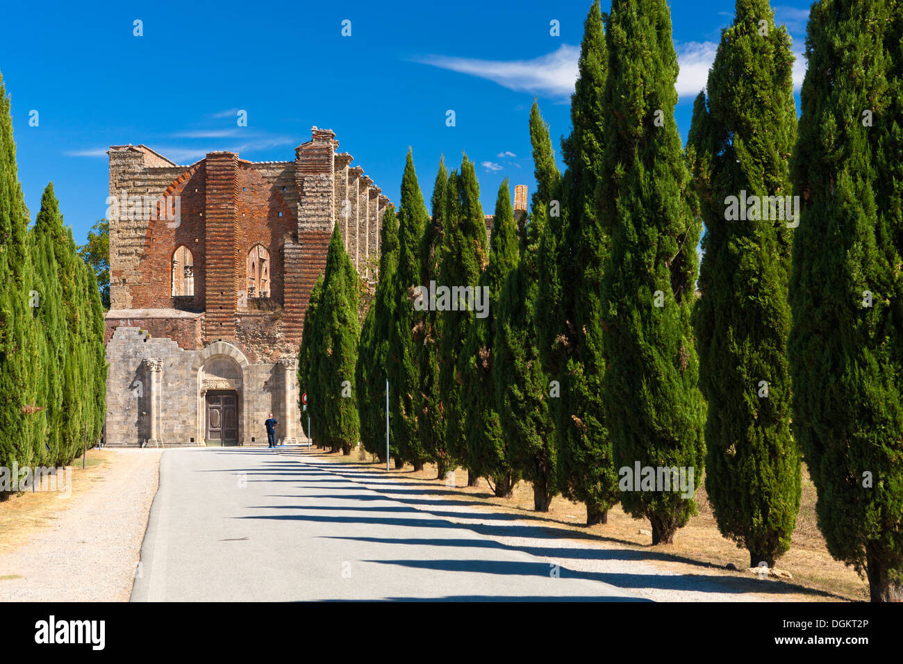 Ruinen der Zisterzienser Abtei San Galgano. Stockfoto