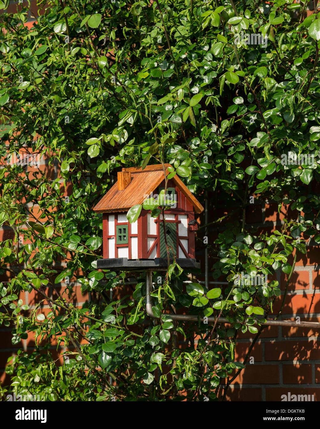 Gartenornament, Vogelhaus in ein Rosenstrauch Spalier gegen eine Hauswand,  Niedersachsen, Ostfriesland Stockfotografie - Alamy