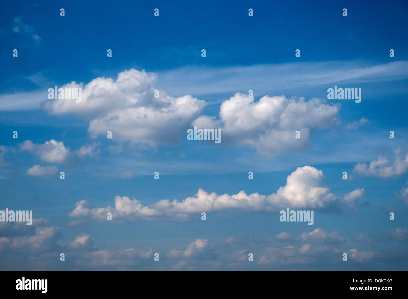 Cumulus-Wolken in Reihen am blauen Himmel Stockfoto