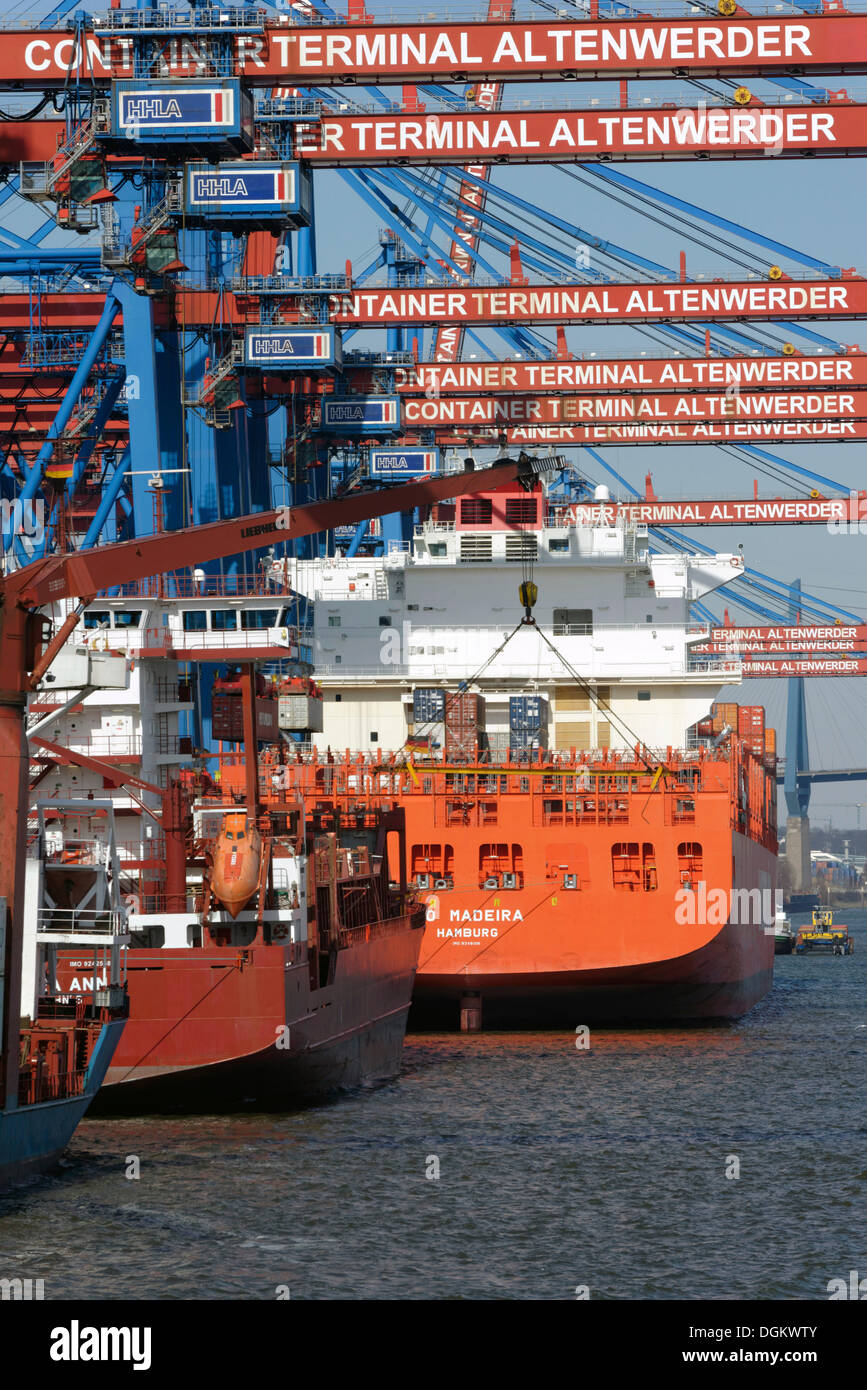 Containerschiffe und Feeder-Schiffe am HHLA Container Terminal Altenwerder, CTA, Hamburg, Hamburg, Hamburg, Deutschland Stockfoto
