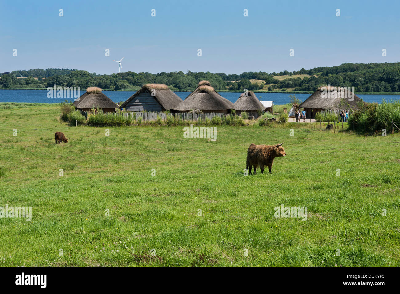 Strohgedeckten Hütten neben einem See, Weide und Vieh auf der Vorderseite, Wikinger-Museum Haithabu, Freilichtmuseum, Busdorf Stockfoto