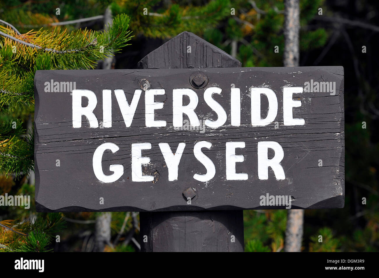 Riverside-Geysir, Upper Geyser Basin, geothermischen Quellen im Yellowstone-Nationalpark, Wyoming, Vereinigte Staaten von Amerika zu unterzeichnen. Stockfoto