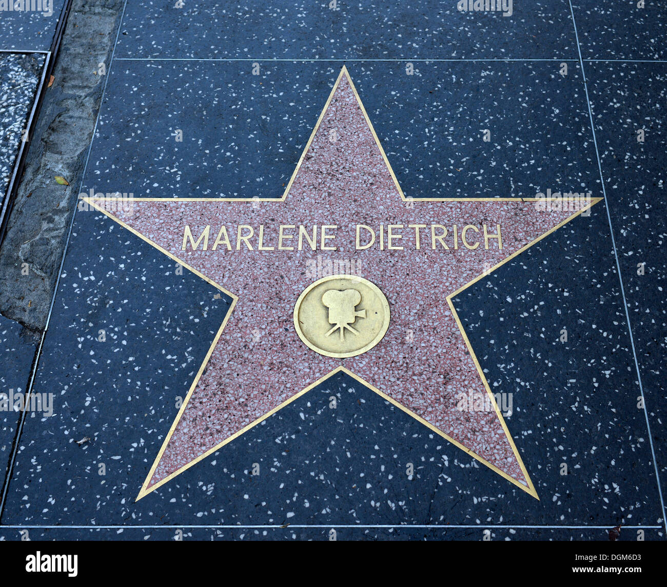 Walk Of Fame Stern Kaufen