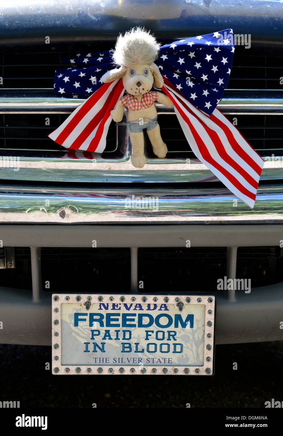 Patriotische Heizkörper Verzierung eines Kraftfahrzeugs, "Freiheit bezahlt für im Blut' Platte, Grand Staircase-Escalante National Lizenz Stockfoto