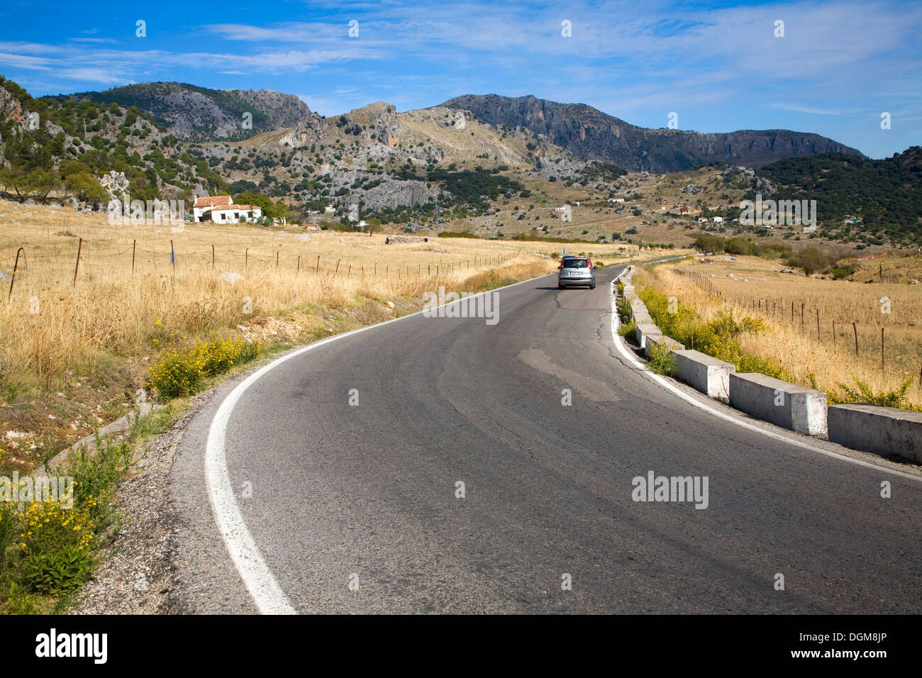 Straße Ecke geschwungene Landschaft Grazalema Naturpark Landschaft, Provinz Cadiz, Spanien Stockfoto