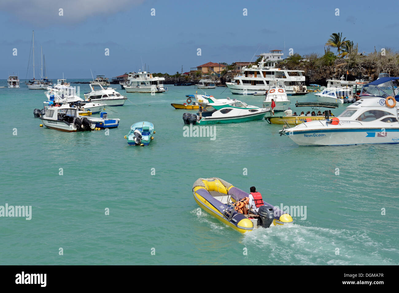 Boote und Kreuzfahrt Schiffe im Hafen von Puerto Ayora, Insel Santa Cruz, Indefatigable Island, Galapagos-Archipel, Ecuador Stockfoto